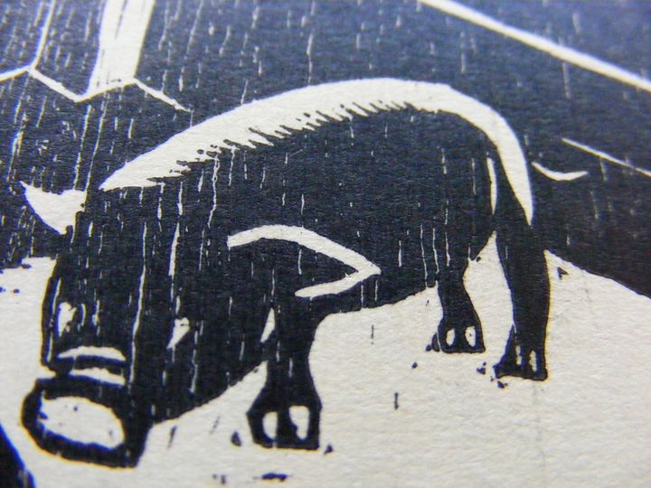 biblioteca 269 copy.jpg